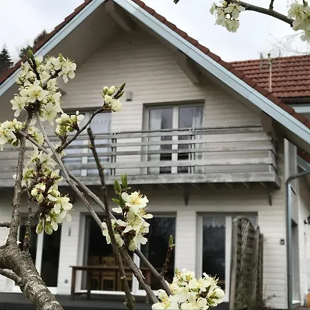 Σαλέ Chalet With 4 Bedrooms In With Private Pool Enclosed Garden And Wifi 8 Km From The Slopes *